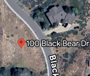 100 black bear